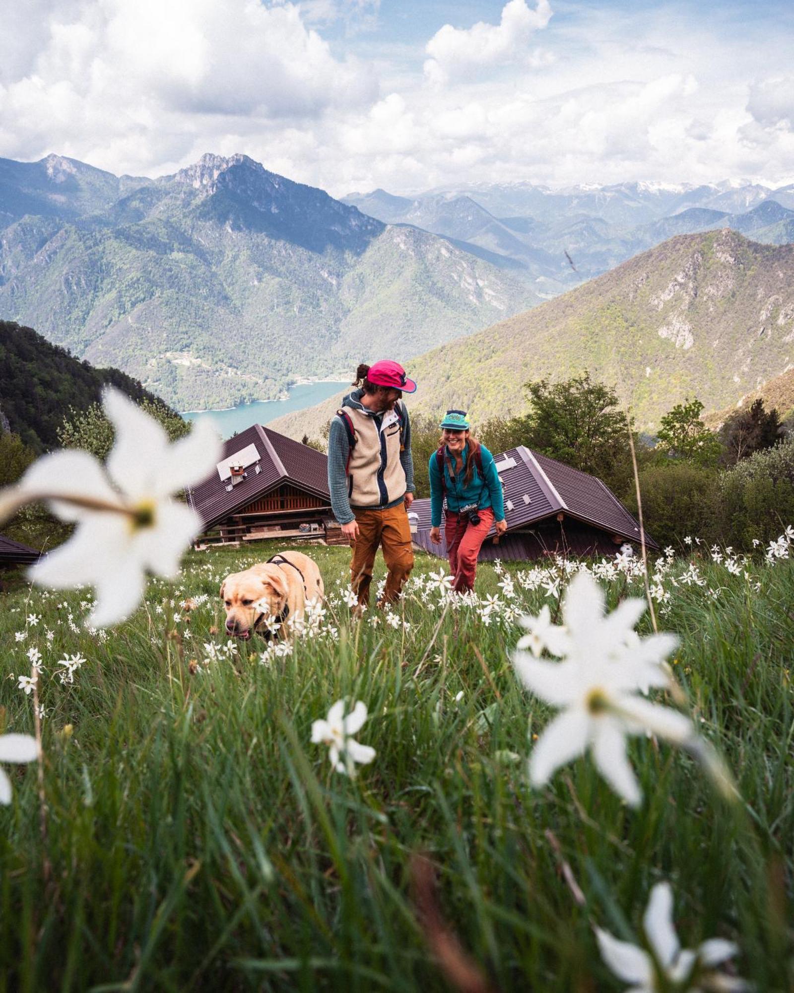 Family Wellness Camping Al Sole モリーナ・ディ・レードロ エクステリア 写真